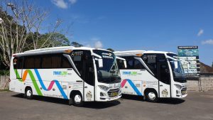 Bus Medium Travelink 30 Seat City Tour Bali